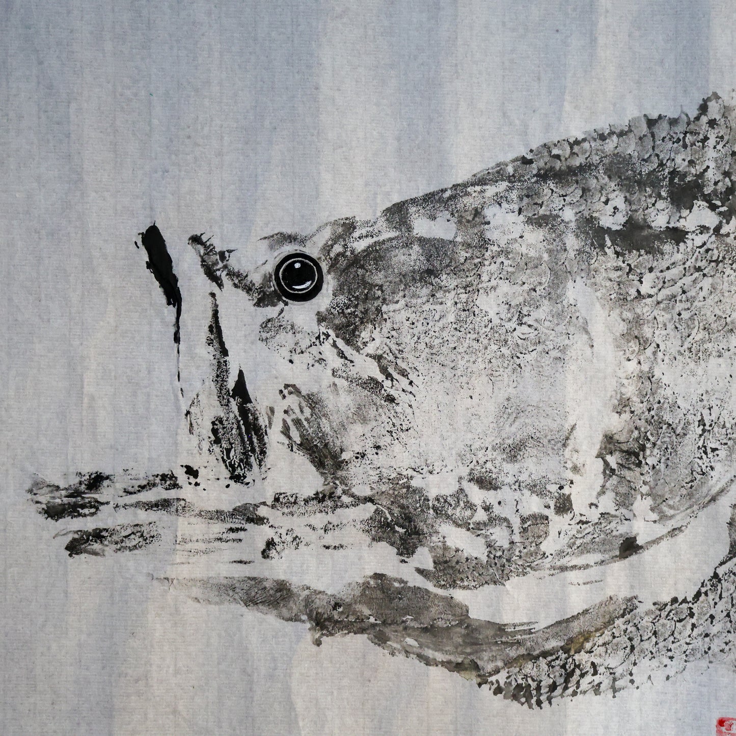 Build-Up Barramundi 6 of 8