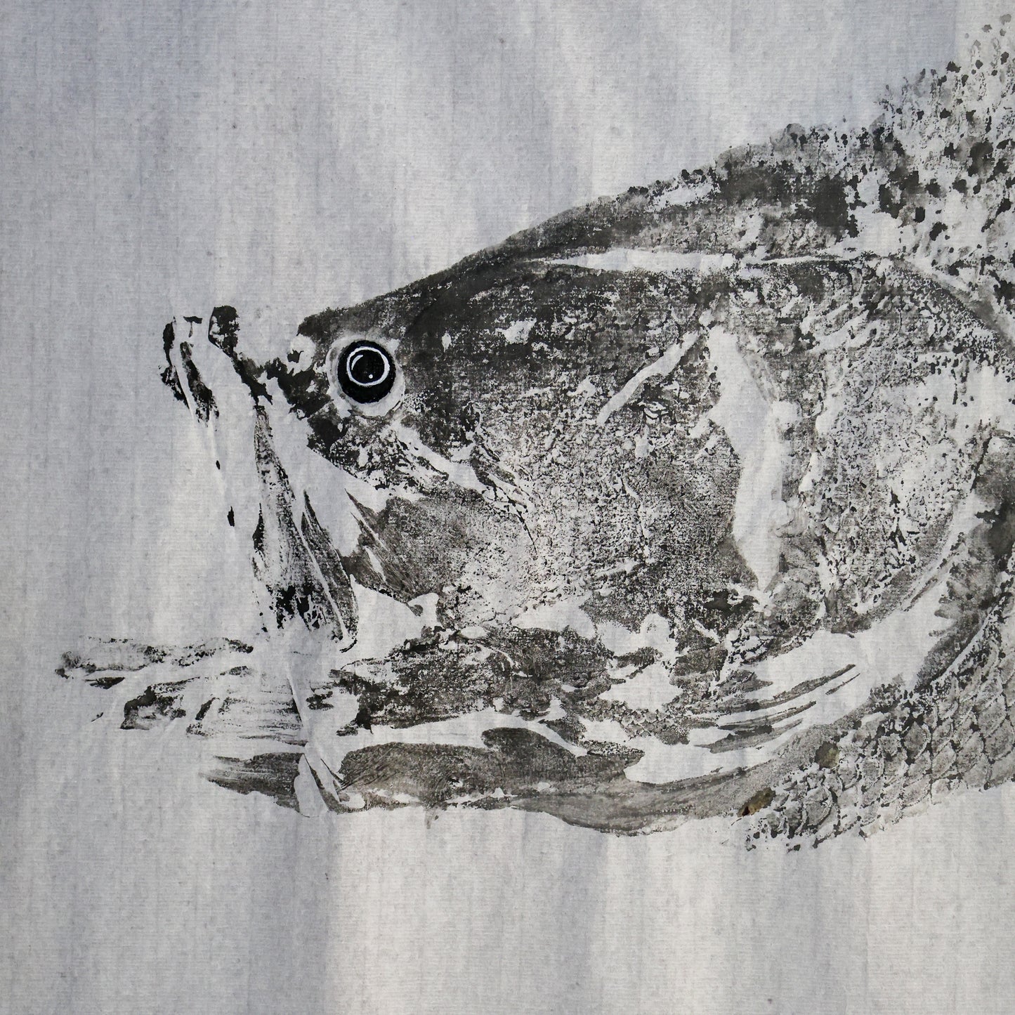 Build-Up Barramundi 5 of 8