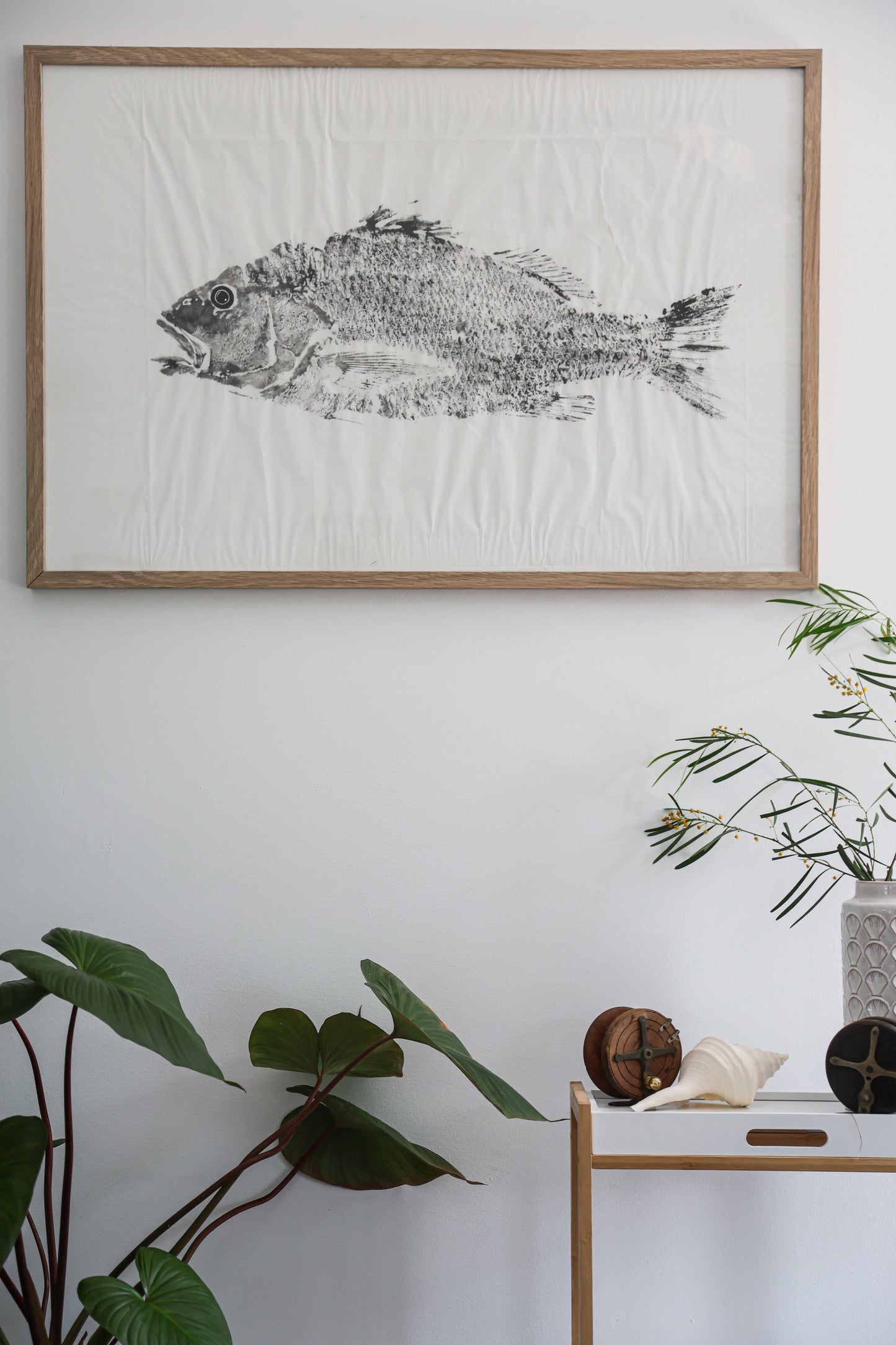 Golden Snapper Gyotaku Print – Tiwi Islands Collection