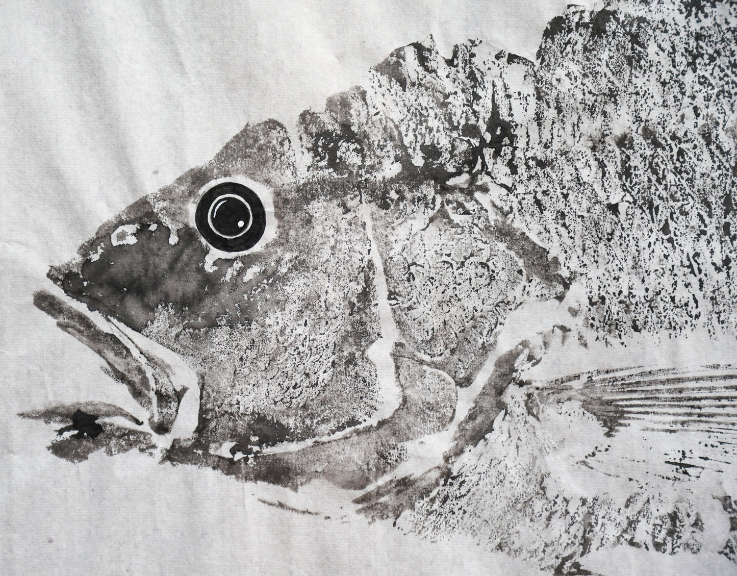 Golden Snapper Gyotaku Print – Tiwi Islands Collection