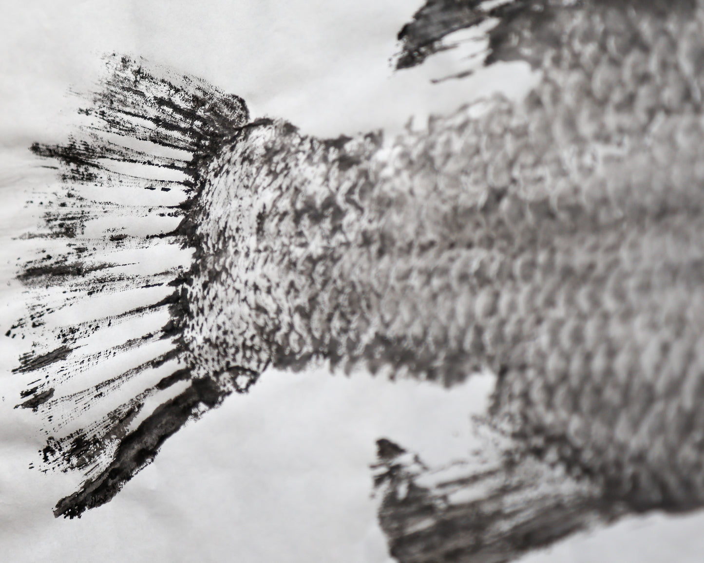Tiwi Islands Barramundi limited edition print