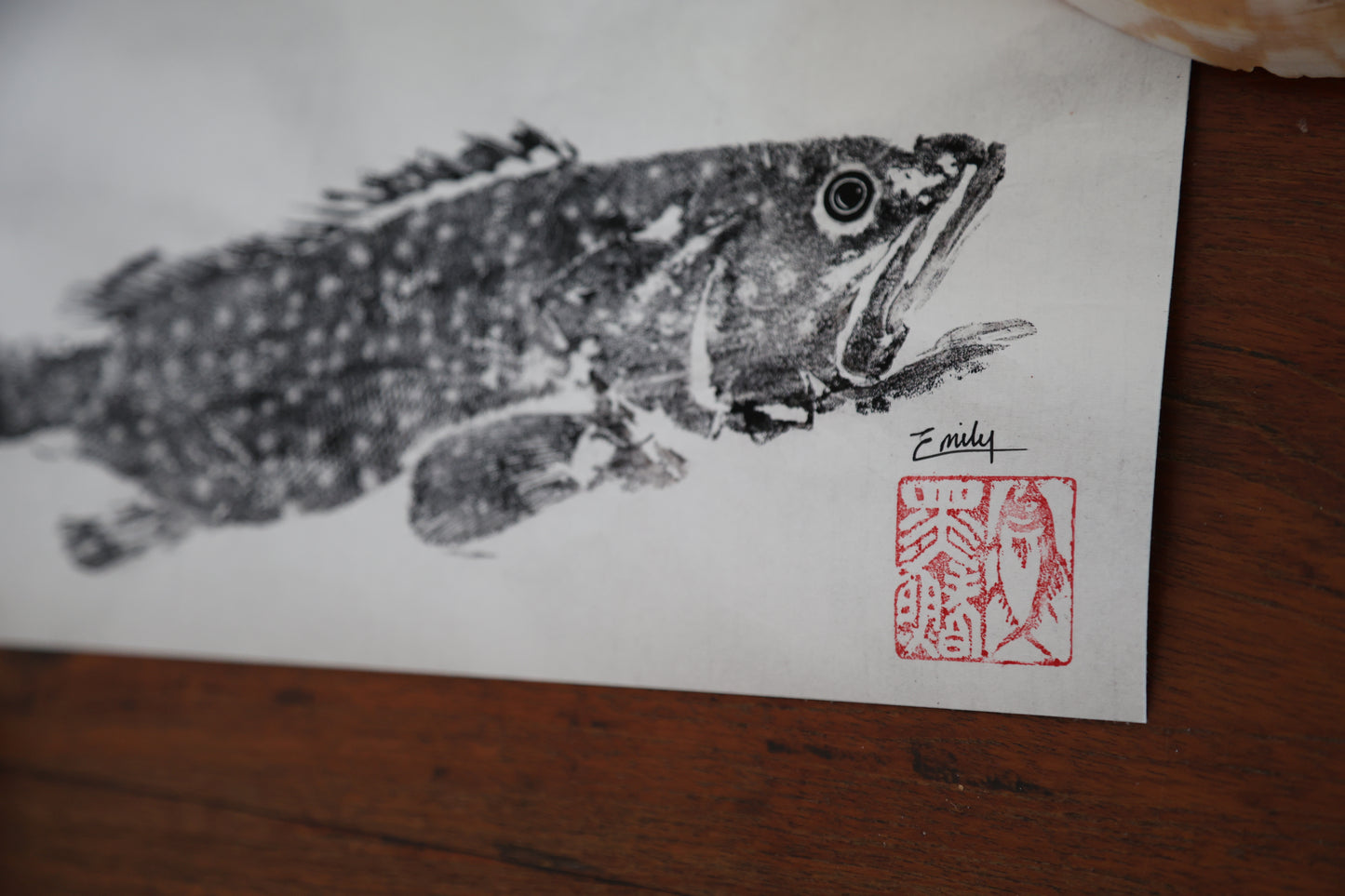 Blackfin Minis - Rock Cod