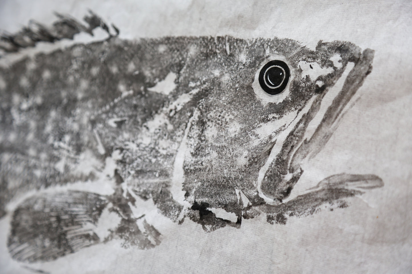 Tiwi Islands Rock Cod original Gyotaku Print