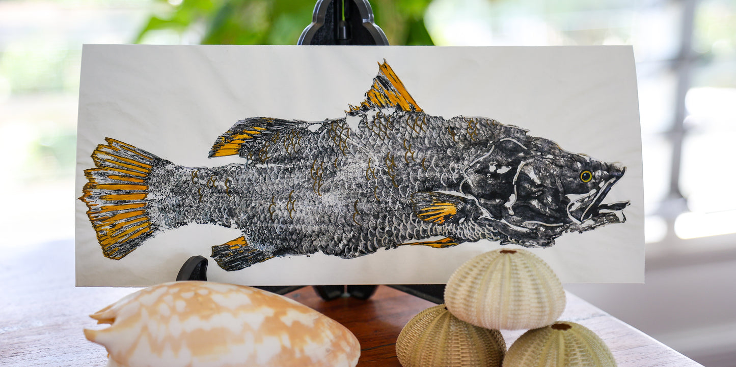 Blackfin Minis - Golden Barramundi