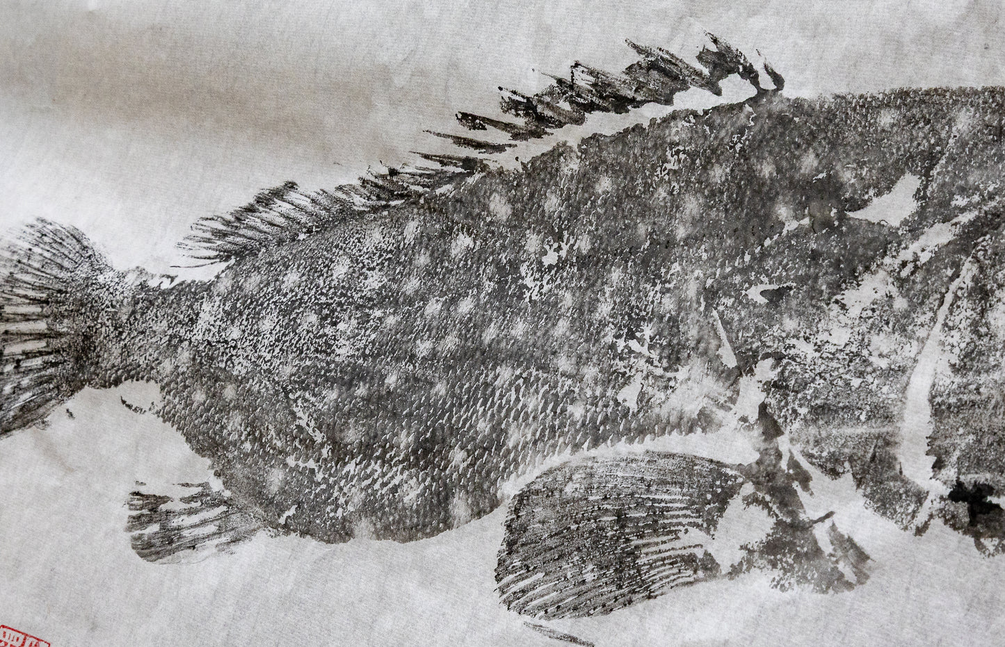 Tiwi Islands Rock Cod original Gyotaku Print