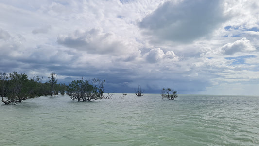 Build-Up Barramundi: A Fishing Adventure in Kakadu