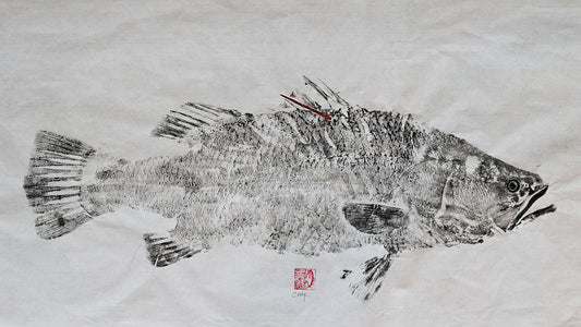 A Once-in-a-Lifetime Catch, Preserved in Print