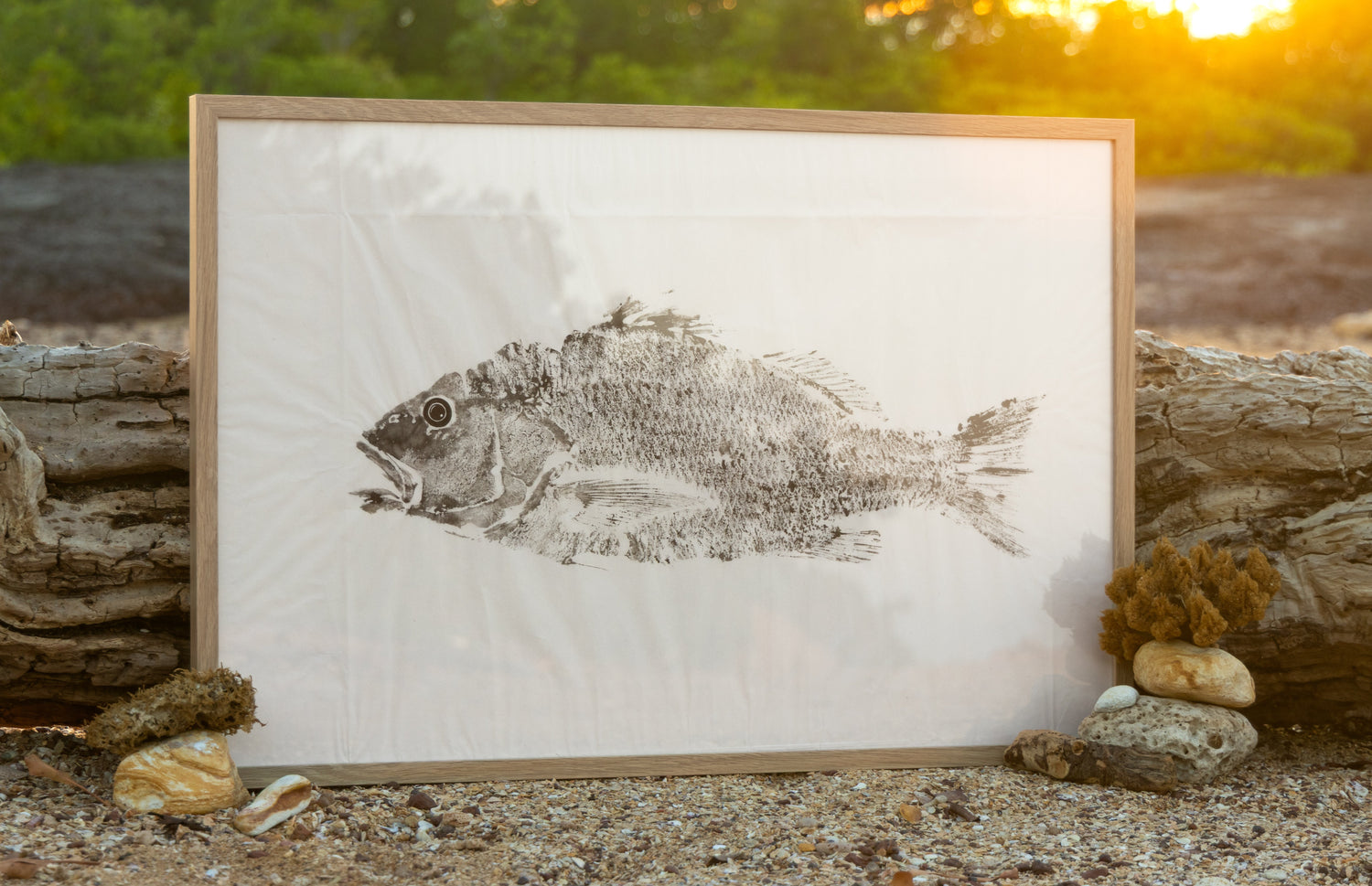 Tiwi Islands Collection Limited Edition Print