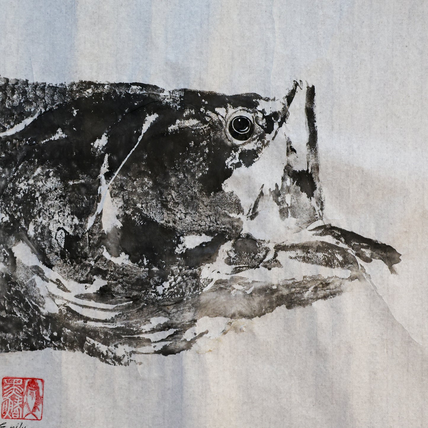 Build-Up Barramundi 8 of 8