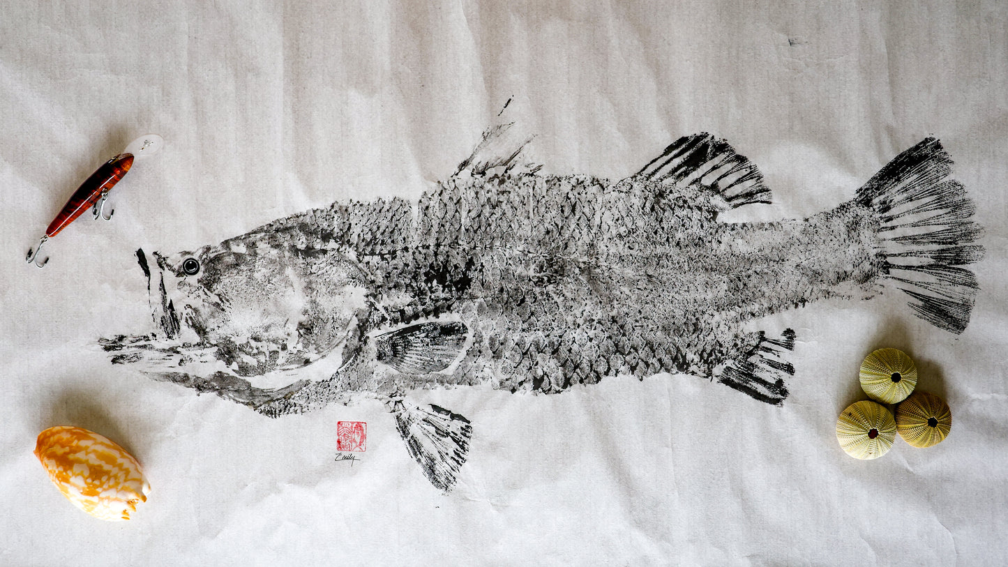 Build-Up Barramundi 6 of 8