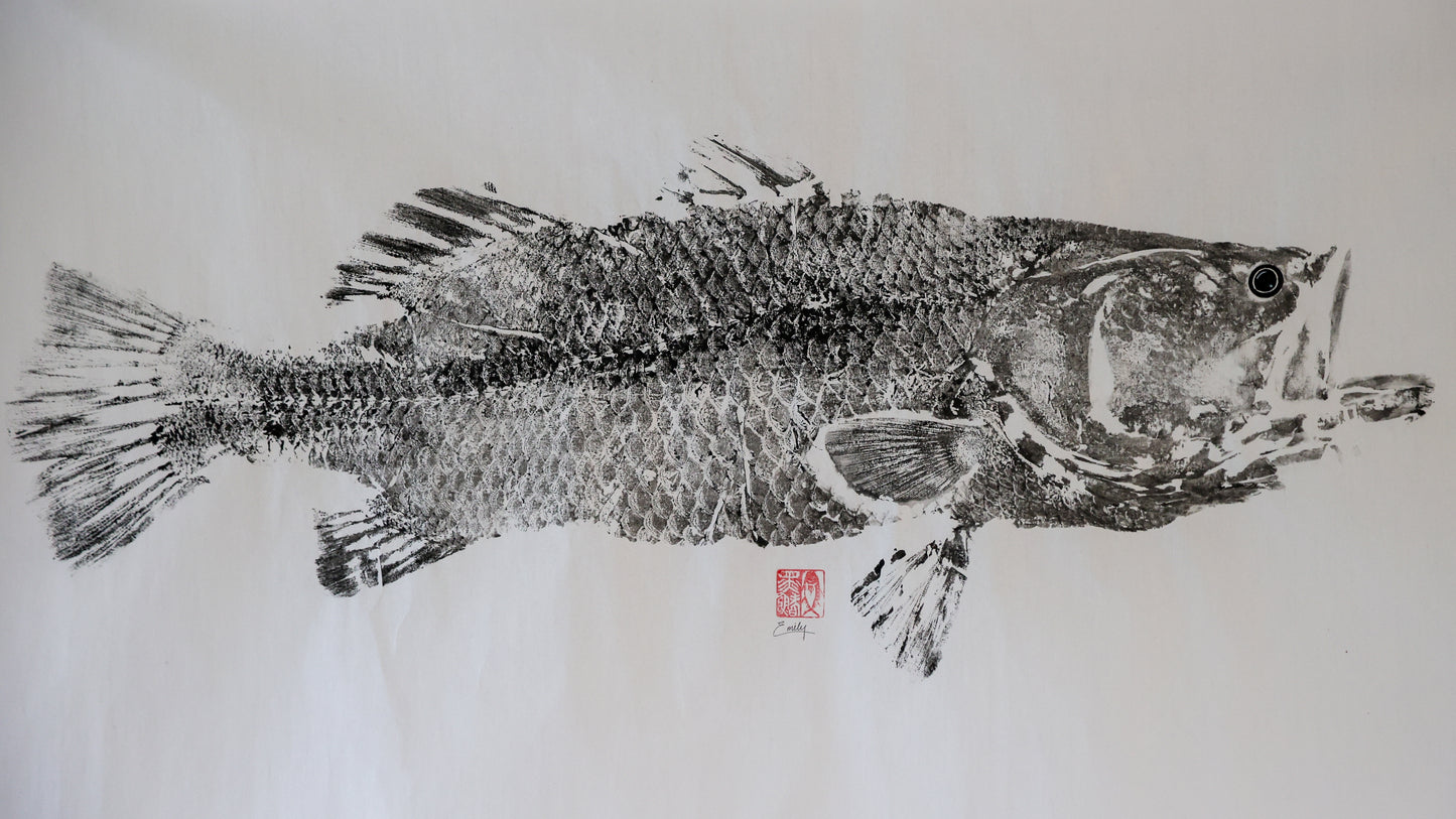 Build-Up Barramundi 1 of 8