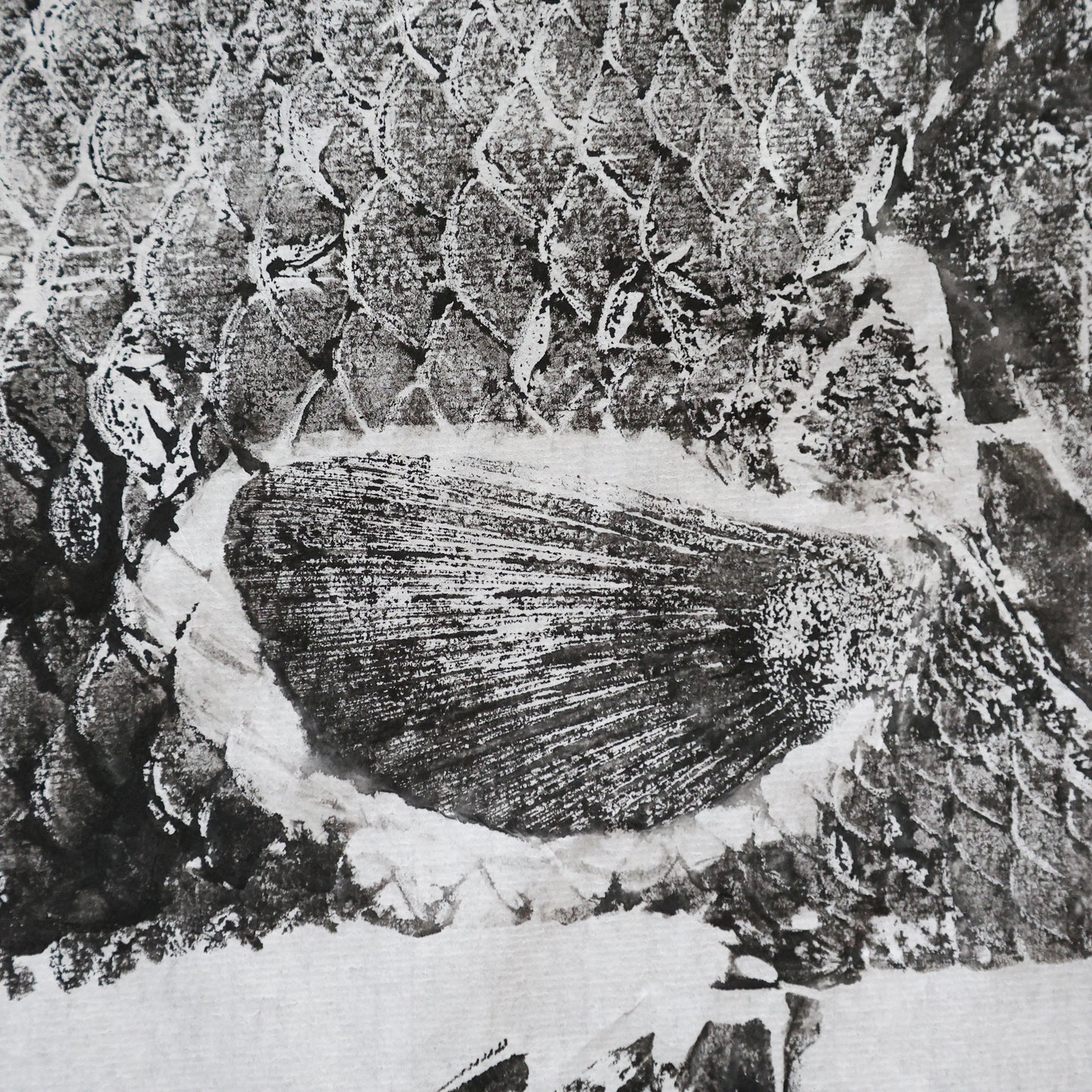 Build-Up Barramundi 1 of 8