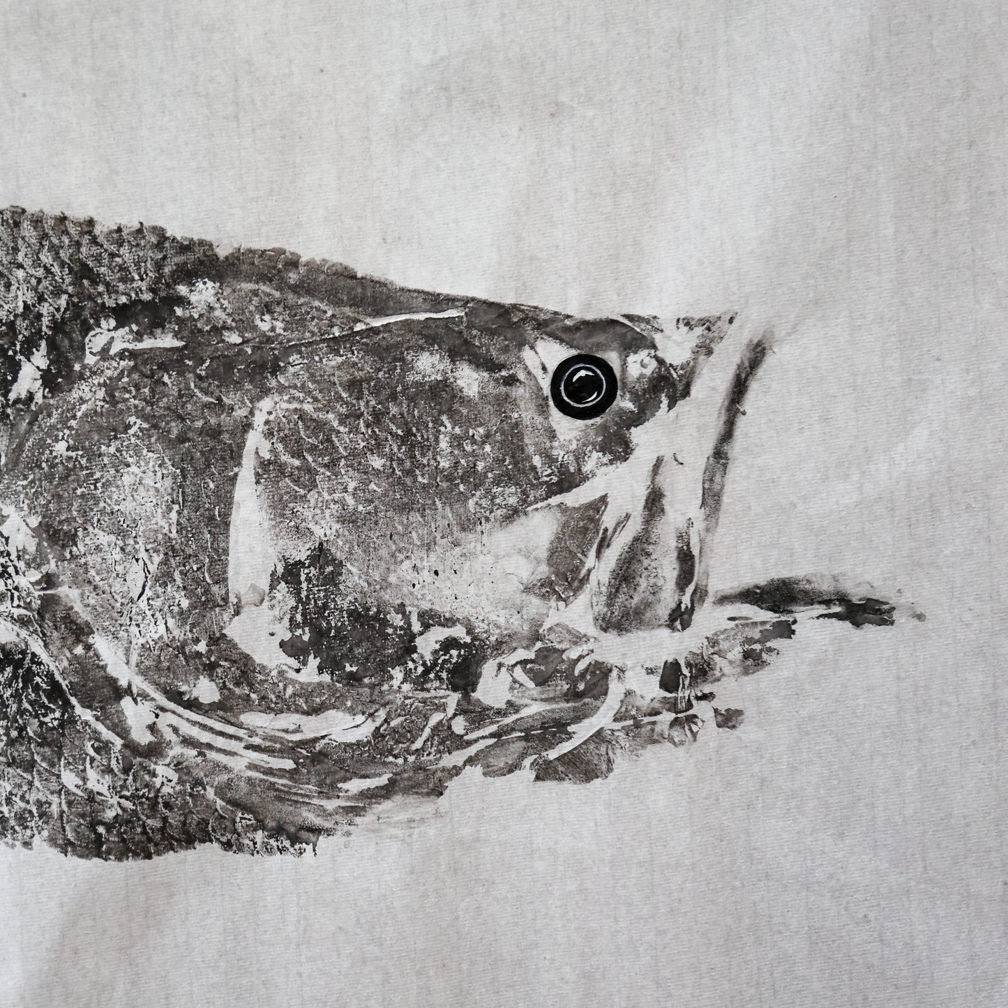 Build-Up Barramundi 4 of 8