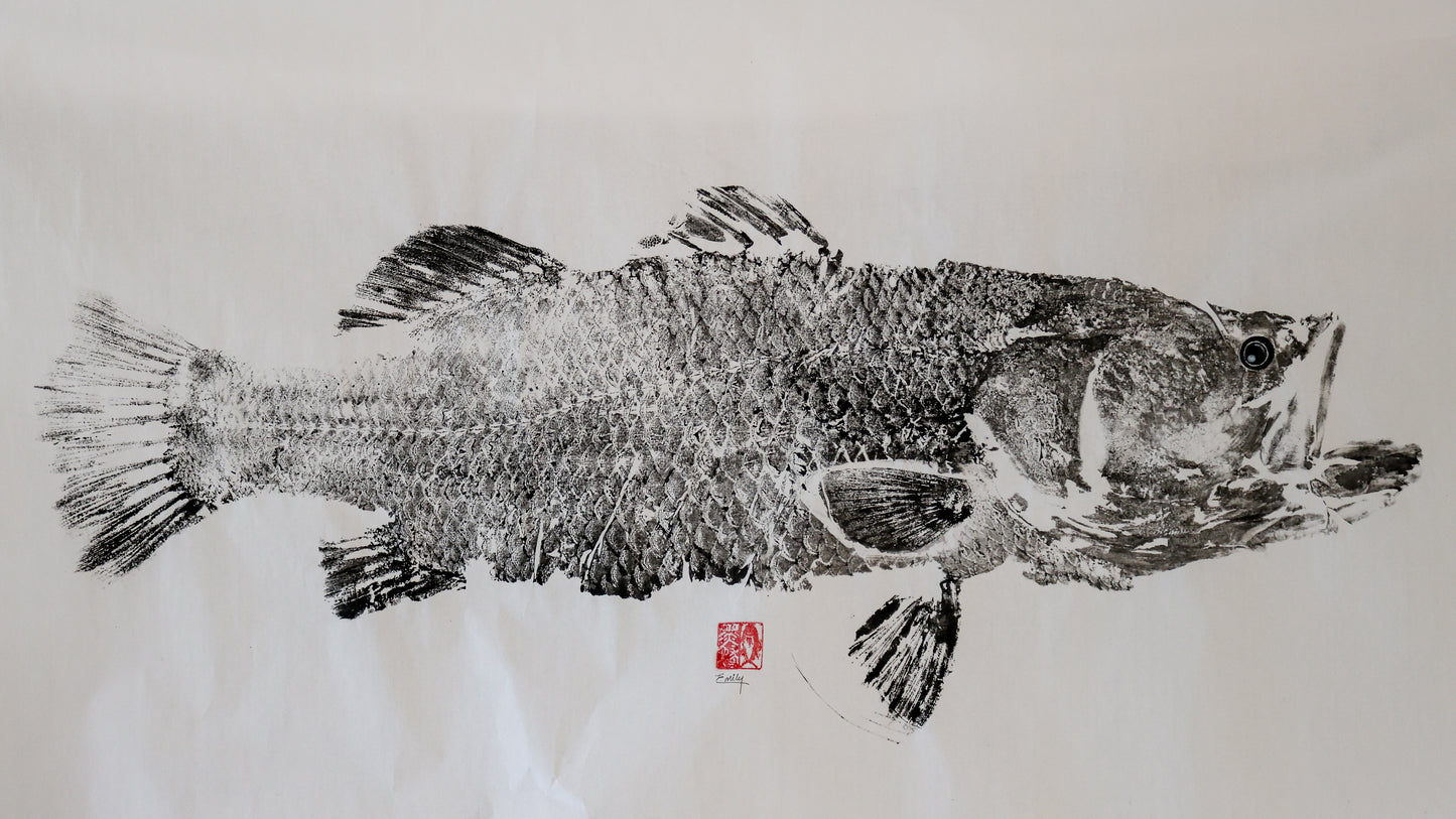 Build-Up Barramundi 3 of 8