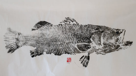 Build-Up Barramundi 3 of 8