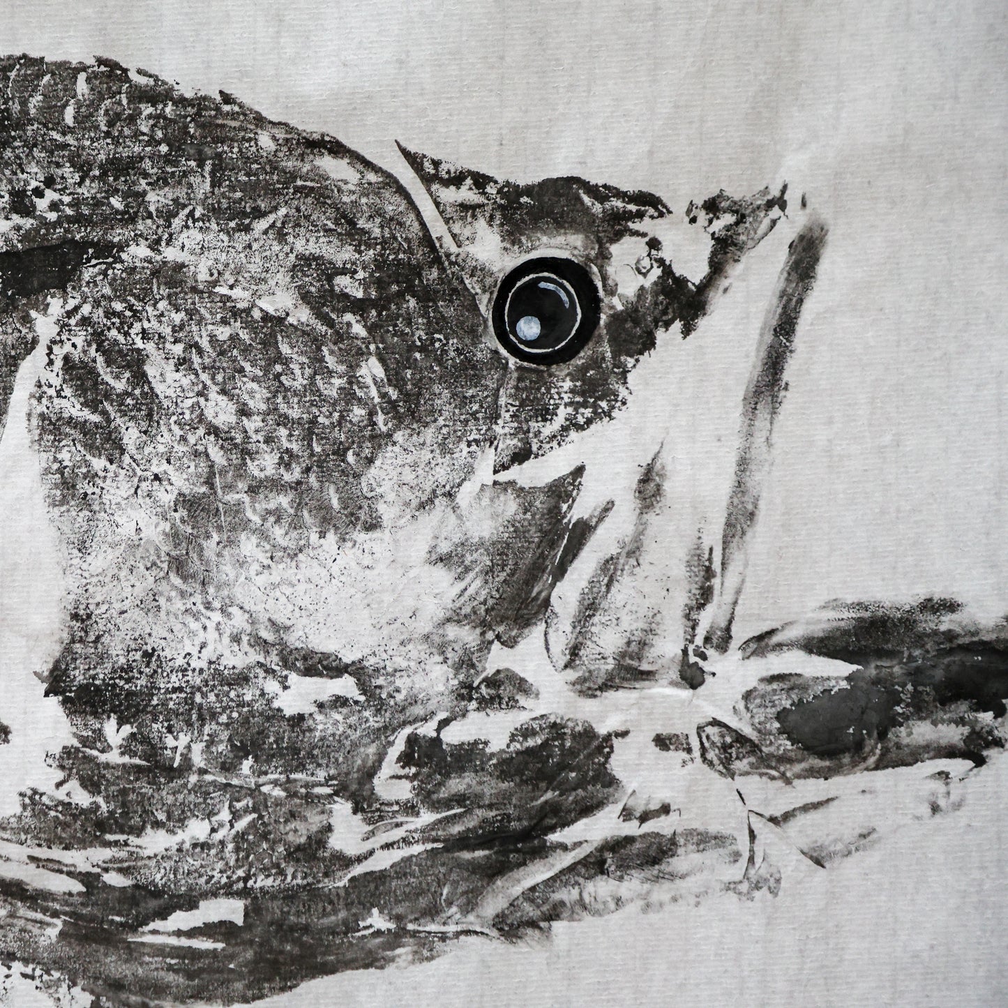 Build-Up Barramundi 3 of 8