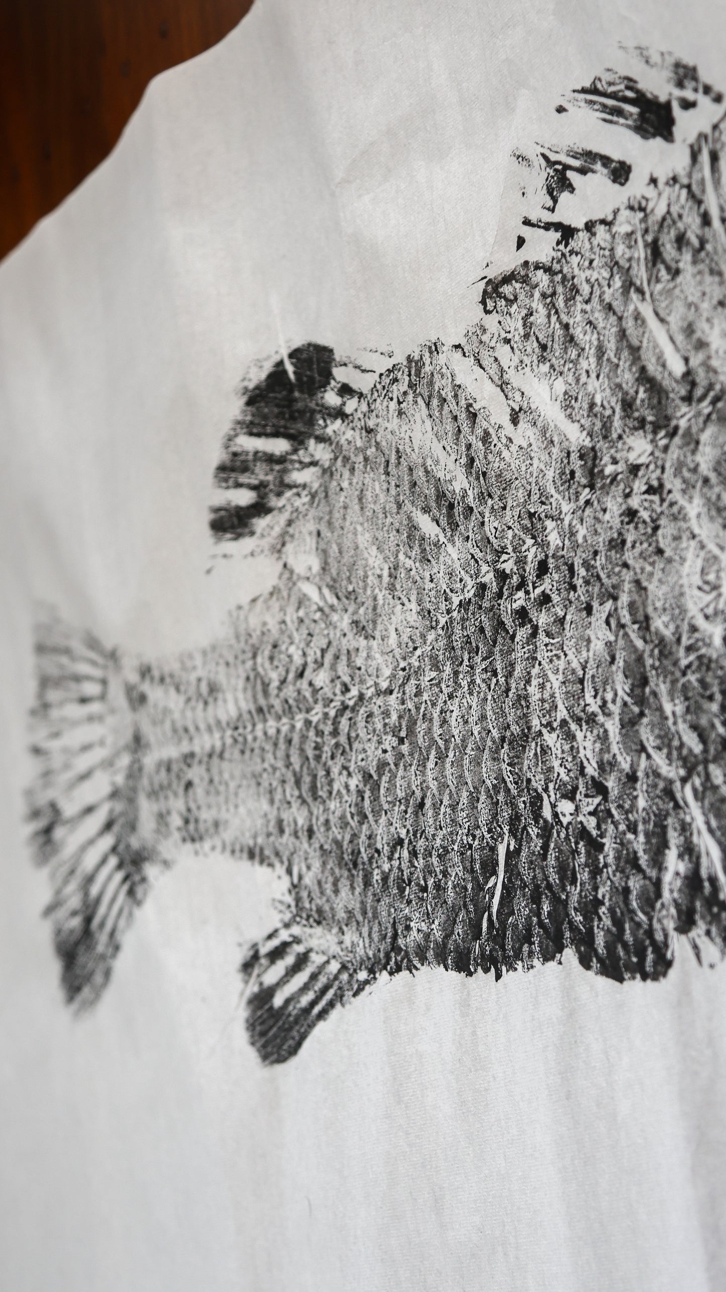 Build-Up Barramundi 2 of 8