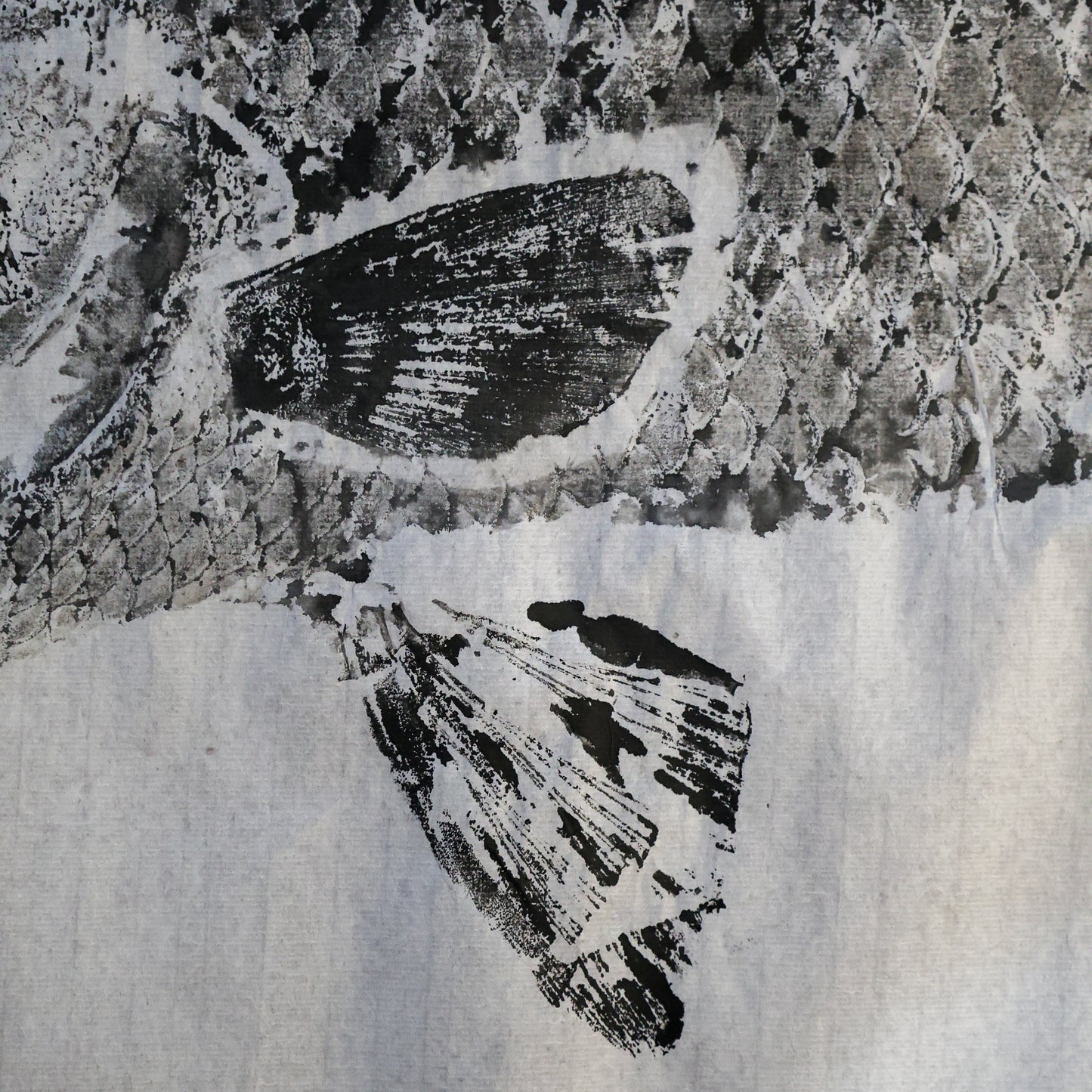 Build-Up Barramundi 5 of 8