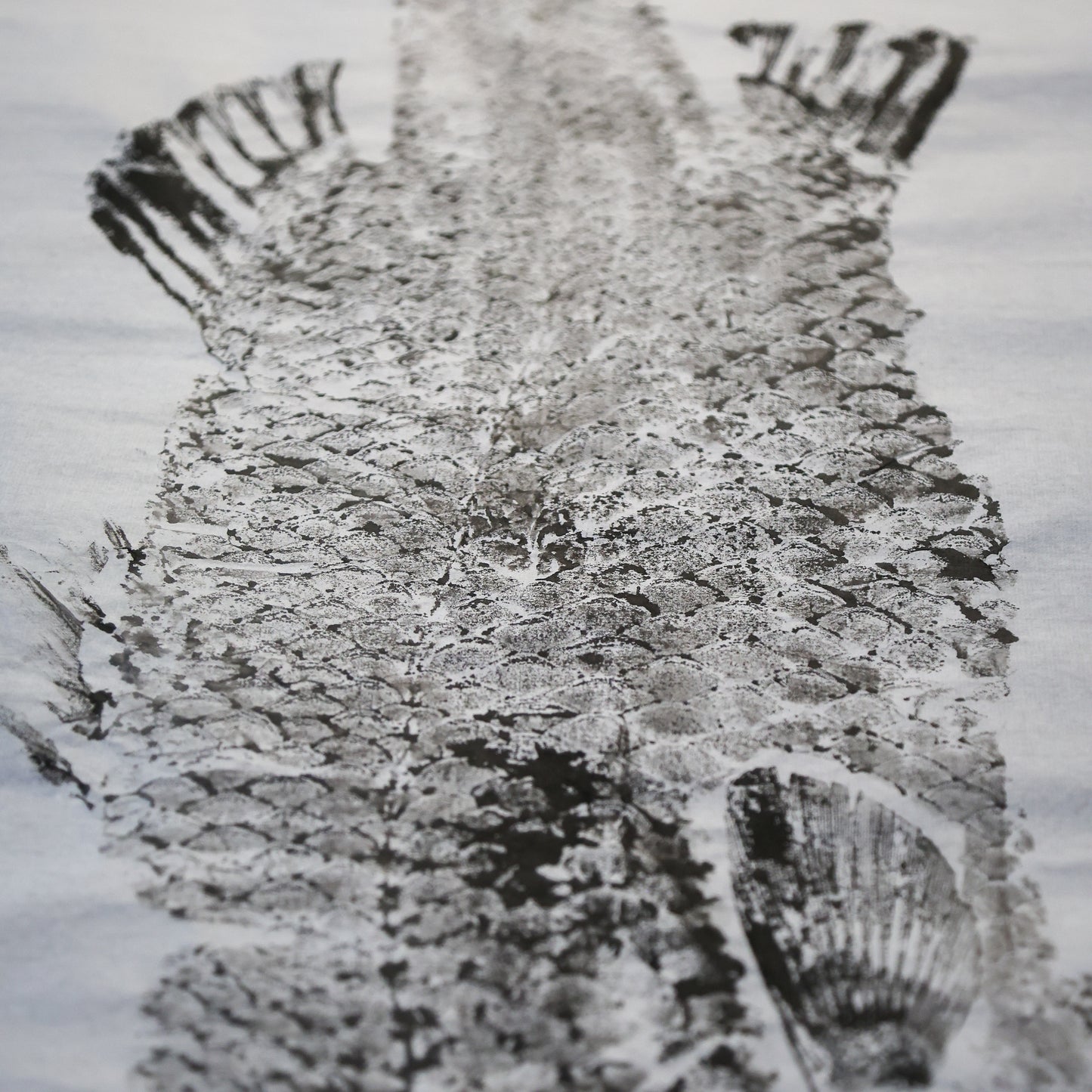 Build-Up Barramundi 6 of 8