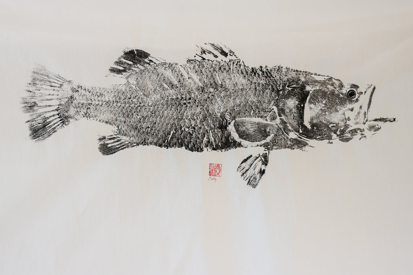 Build-Up Barramundi 2 of 8