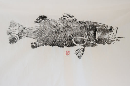 Build-Up Barramundi 2 of 8