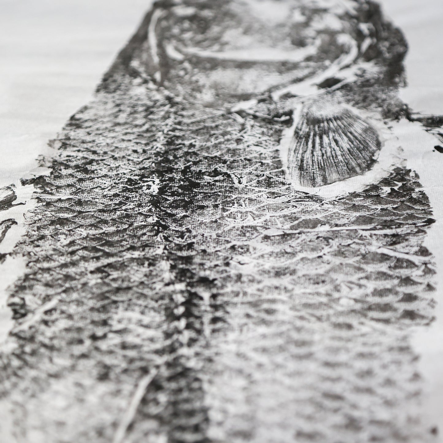 Build-Up Barramundi 1 of 8