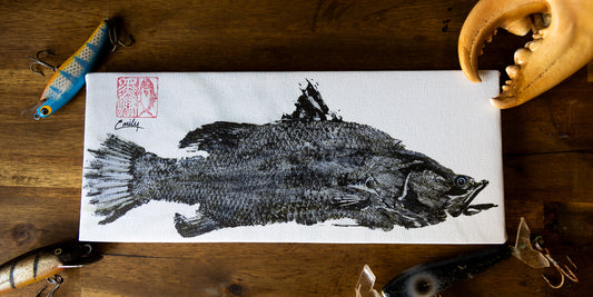 BlackFin Studio Edition - Barramundi