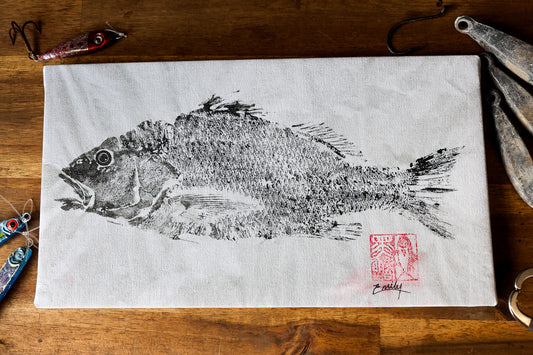 Blackfin Studio Editions – Golden Snapper