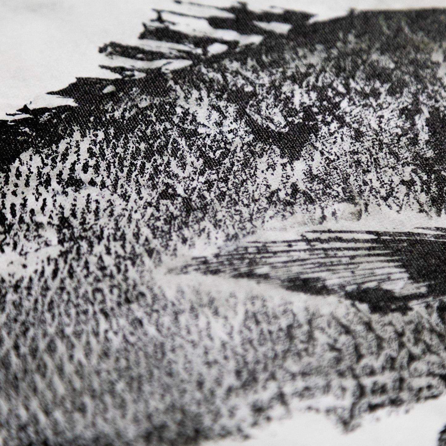 Blackfin Studio Editions – Mangrove Jack