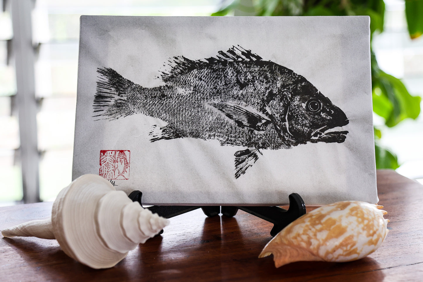 Blackfin Studio Editions – Mangrove Jack