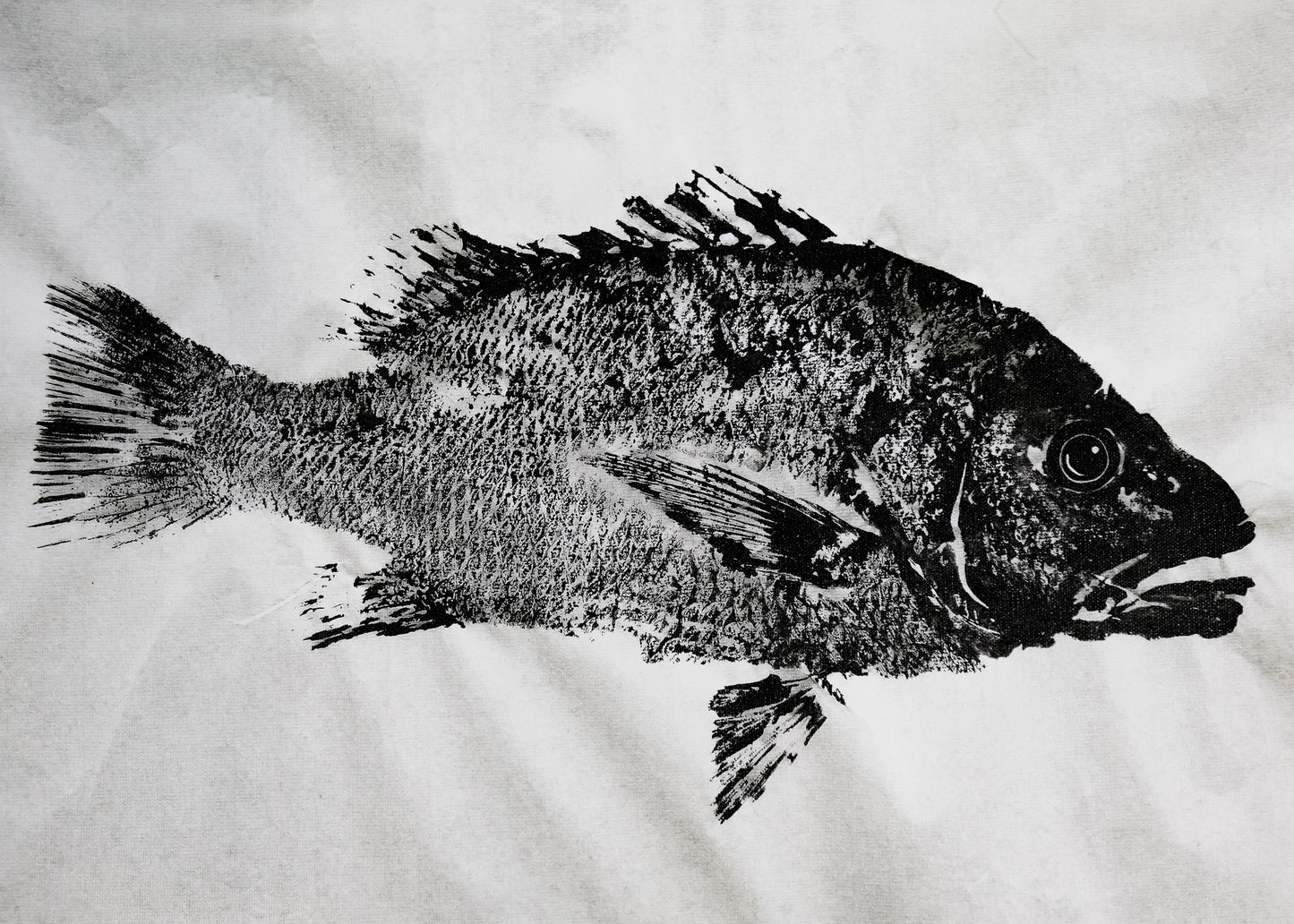 Tiwi Islands Mangrove Jack limited edition print