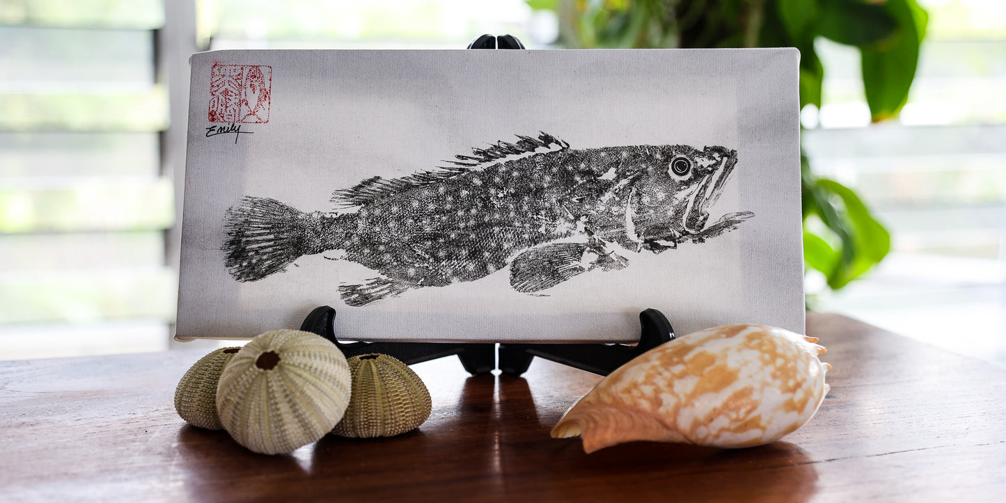 Blackfin Studio Editions – Rock Cod