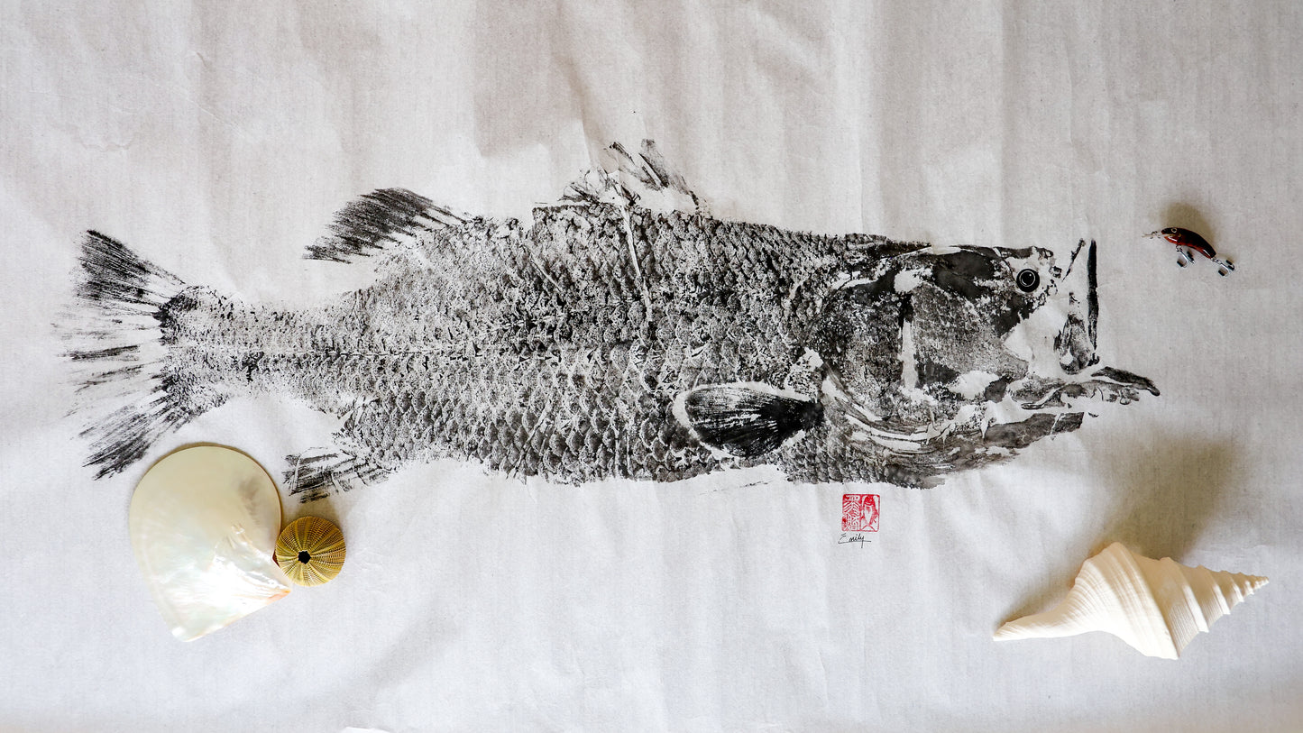 Build-Up Barramundi 7 of 8