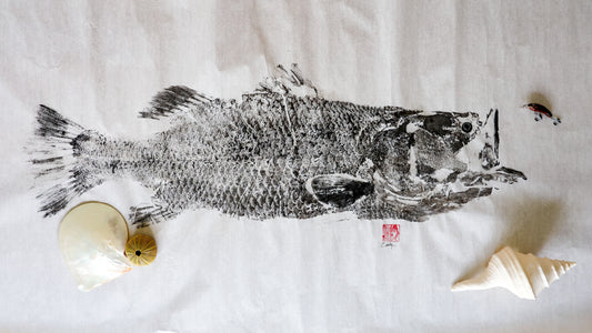 Build-Up Barramundi 7 of 8