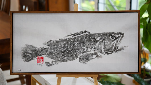 Tiwi Islands Rock Cod limited edition print