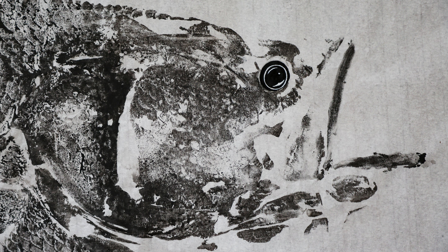 Build-Up Barramundi 2 of 8