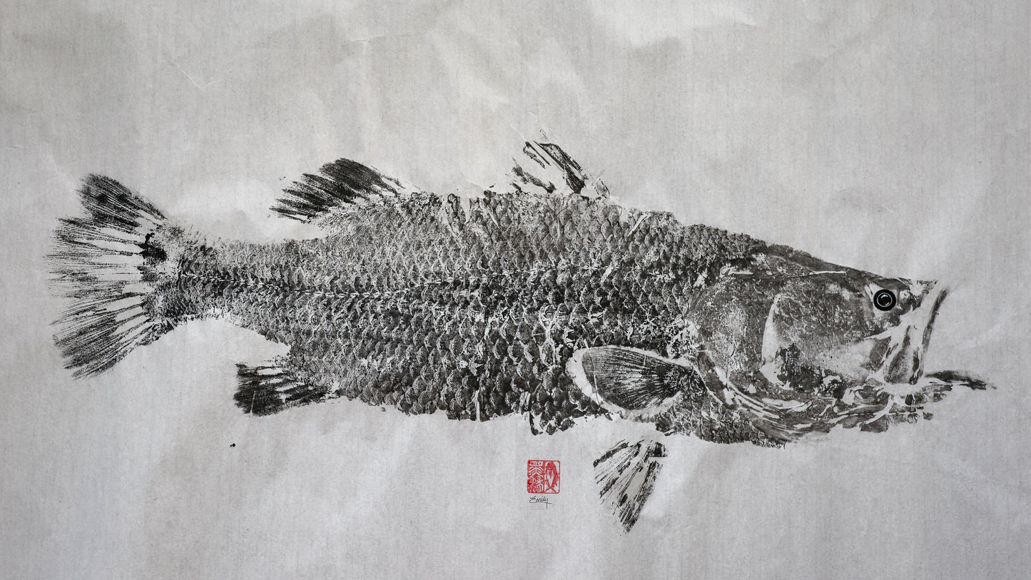 Build-Up Barramundi 4 of 8