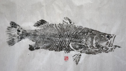 Build-Up Barramundi 4 of 8