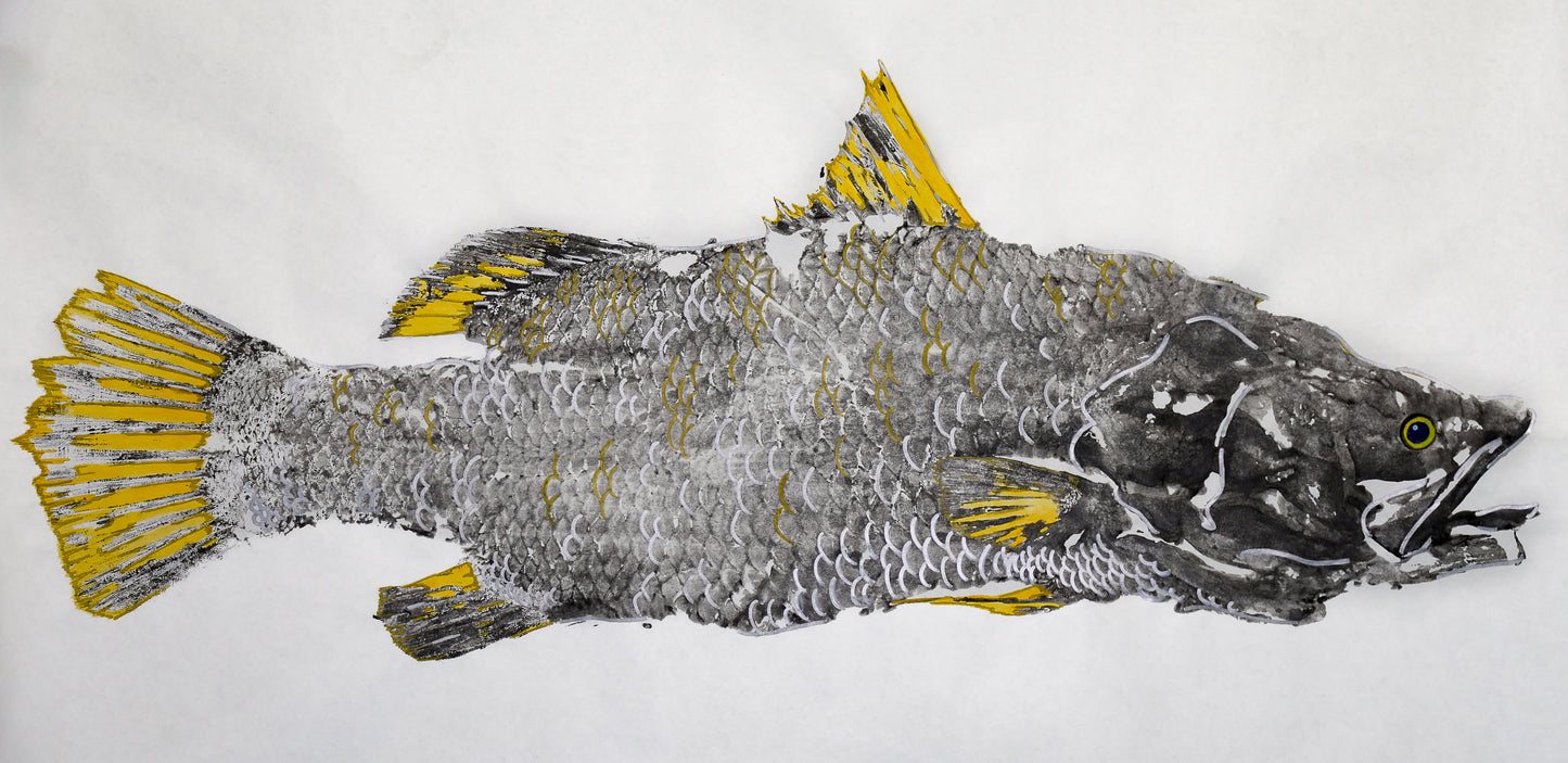 Tiwi Islands Golden Barramundi limited edition print