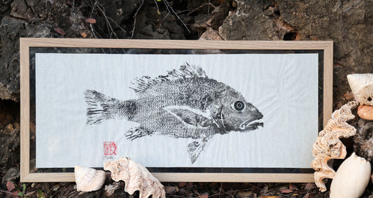 Tiwi Islands Mangrove jack original Gyotaku Print