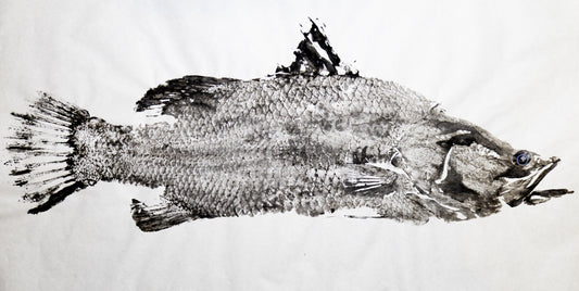 Tiwi Islands Barramundi limited edition print