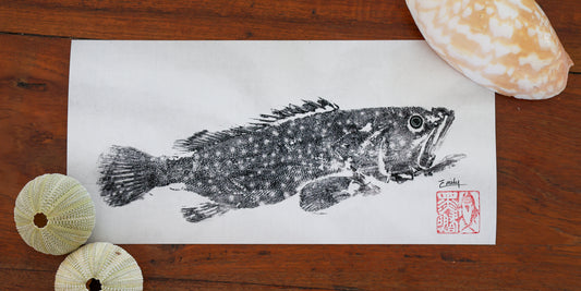 Blackfin Minis - Rock Cod