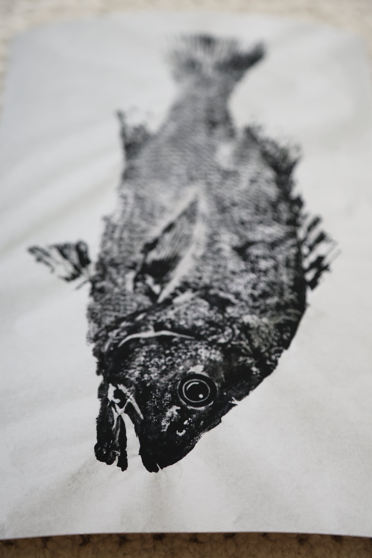 Blackfin Minis - Mangrove Jack