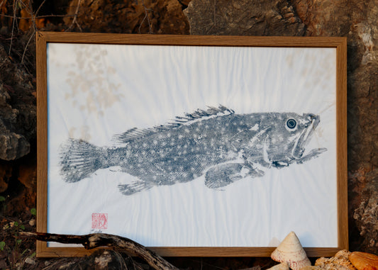 Tiwi Islands Rock Cod original Gyotaku Print