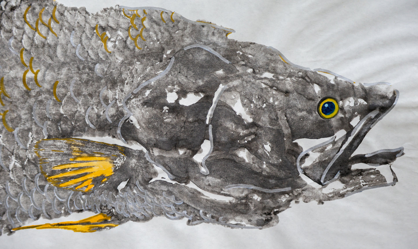 Tiwi Islands Golden Barramundi limited edition print